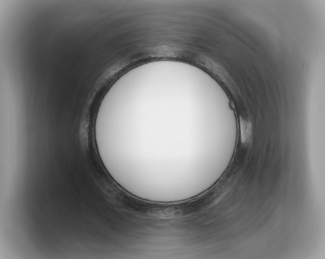 X0000103230675200809181524
