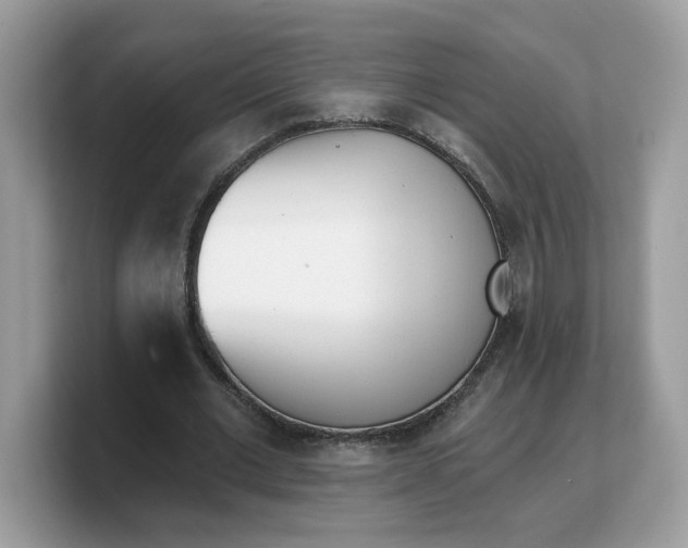 X0000103230677200809181524