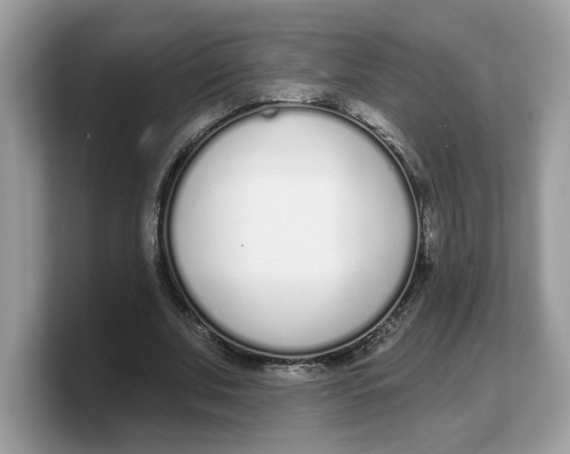 X0000103230679200809181524