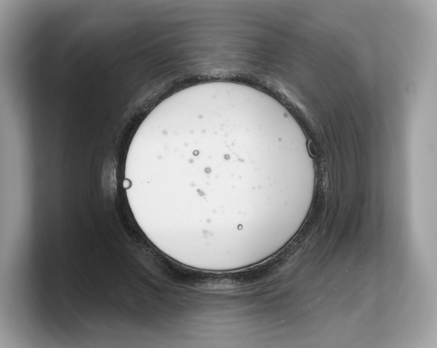 X0000103230685200809181524