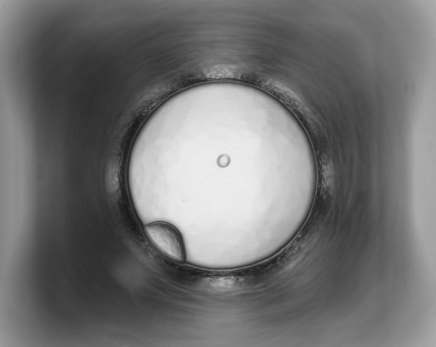 X0000103230687200809181524