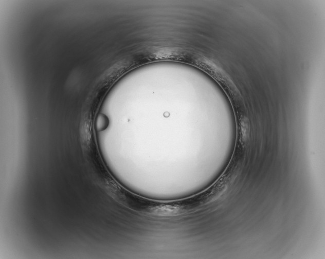 X0000103230691200809181524