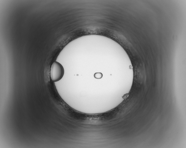 X0000103230694200809181524