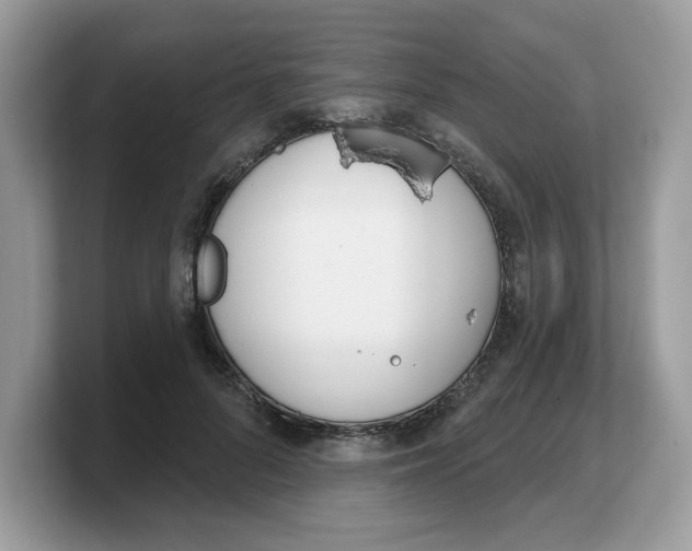 X0000103230696200809181524
