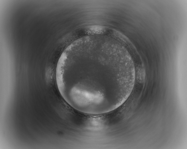 X0000103230701200809181524