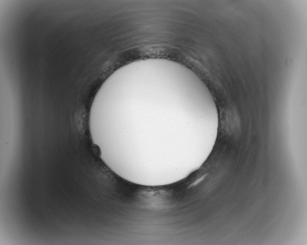 X0000103230712200809181524