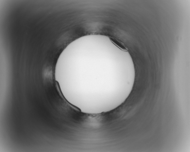 X0000103230720200809181524