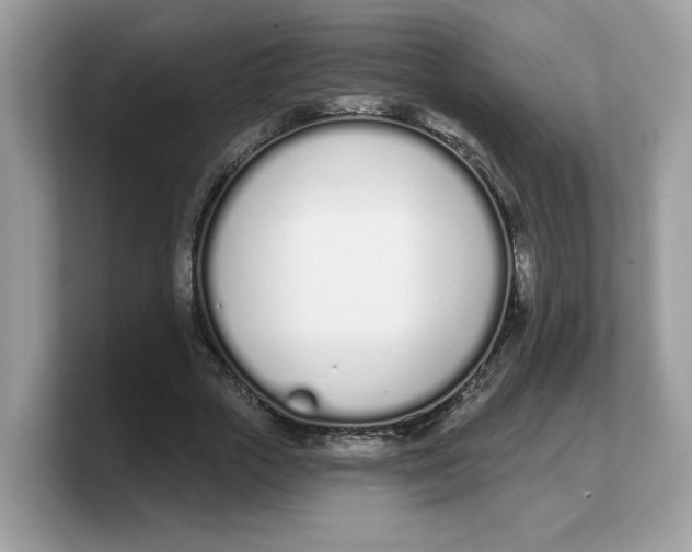 X0000103230729200809181523