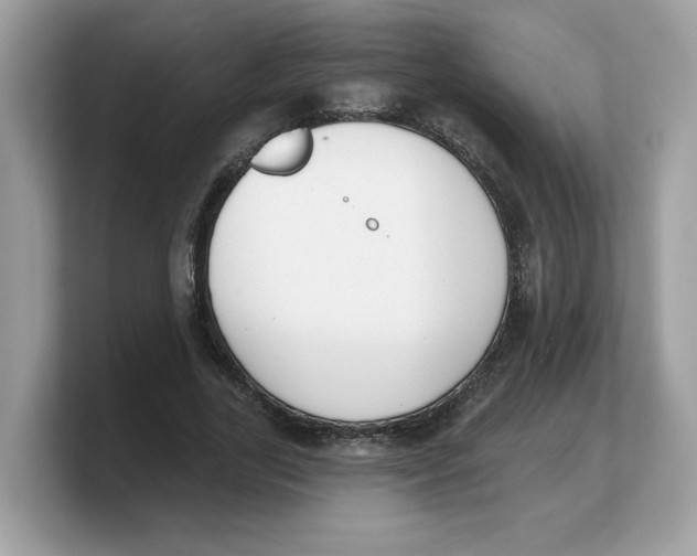 X0000103230731200809181523