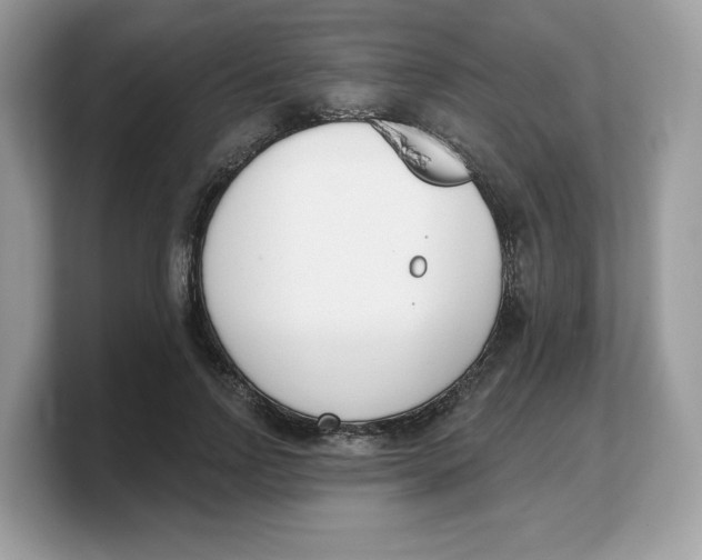 X0000103230742200809181523