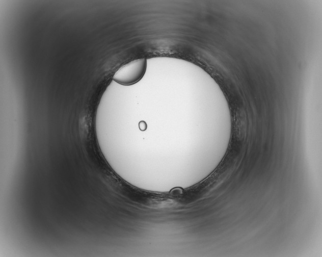 X0000103230747200809181523