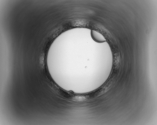 X0000103230749200809181523