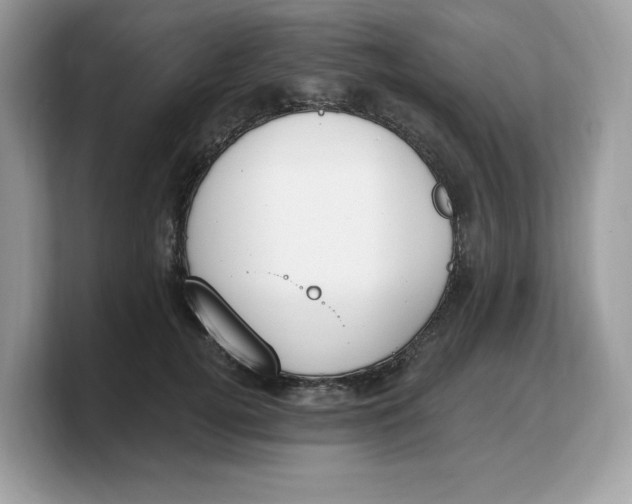 X0000103230752200809181523
