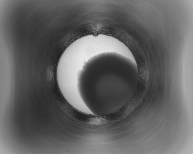 X0000103230754200809181523