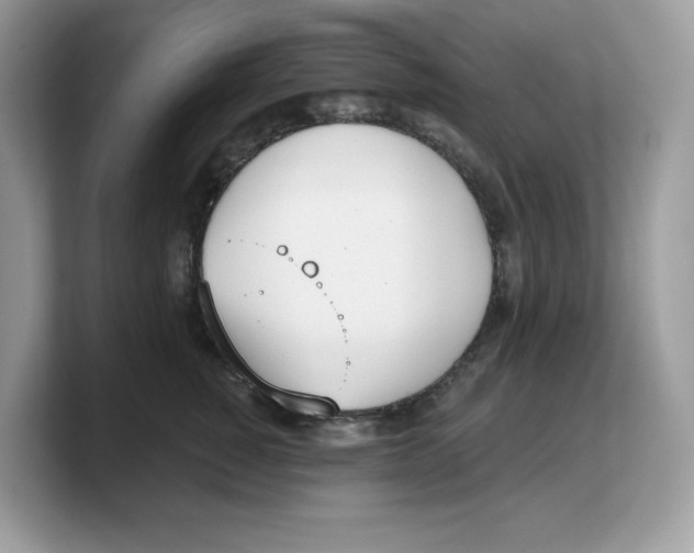 X0000103230760200809181524