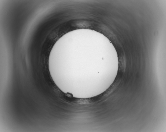 X0000103230762200809181524