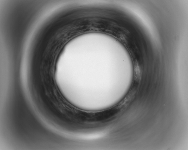 X0000103230765200809181524