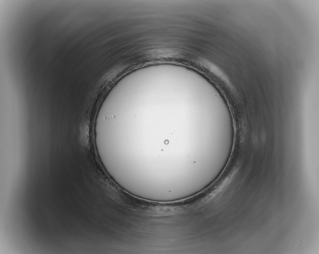 X0000103230777200809181523