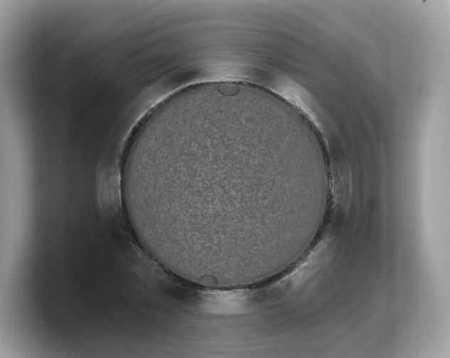 X0000103230781200809181523
