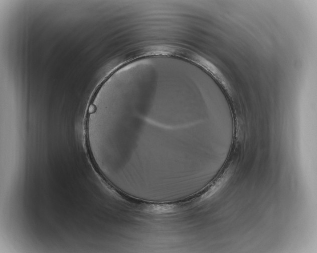 X0000103230802200809181523