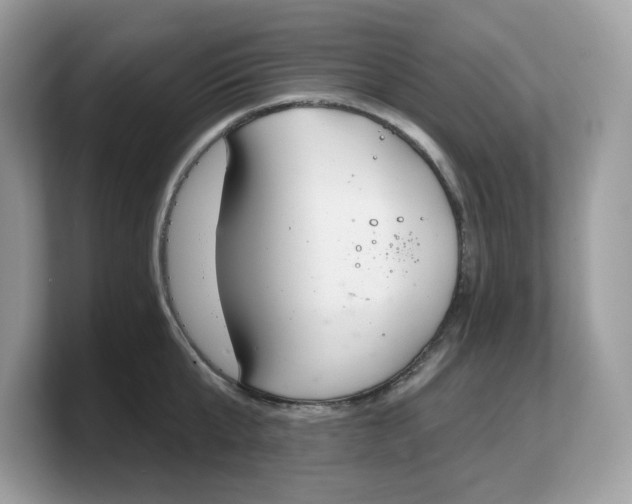 X0000103230807200809181522