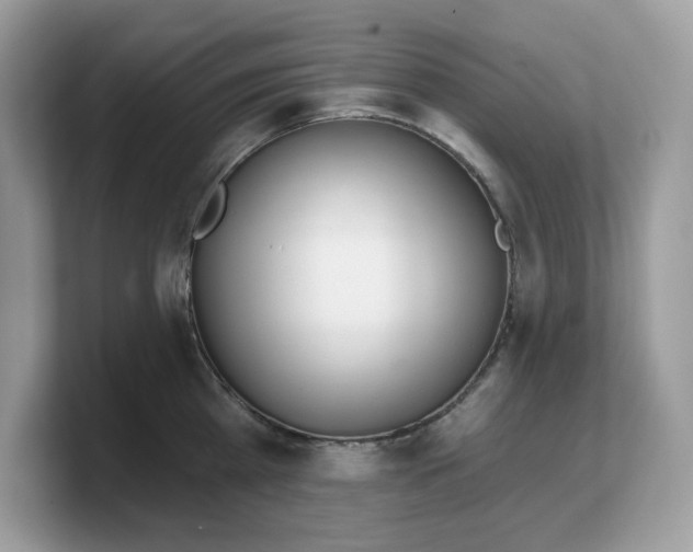 X0000103230809200809181522