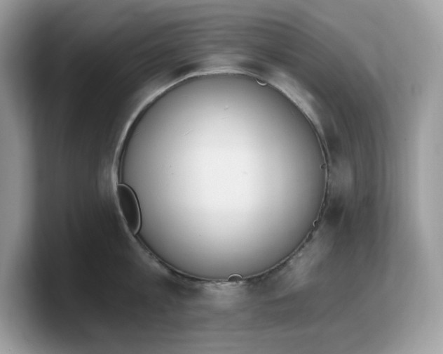 X0000103230813200809181522