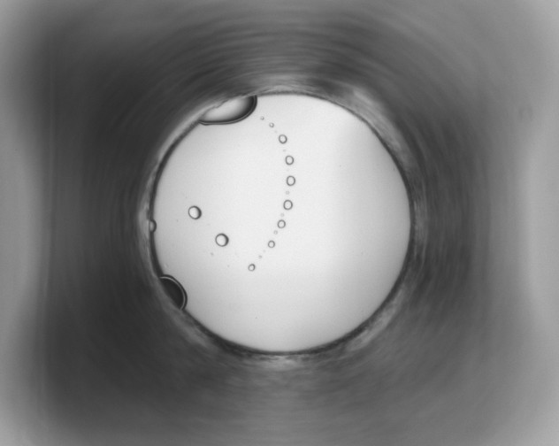 X0000103230814200809181522