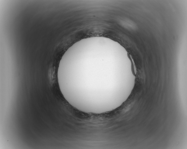 X0000103230818200809181522