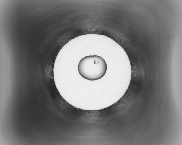 X0000103230820200809181522