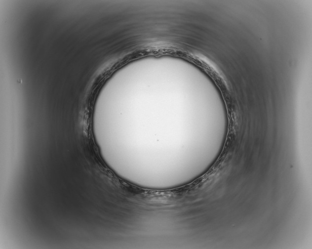 X0000103230823200809181522
