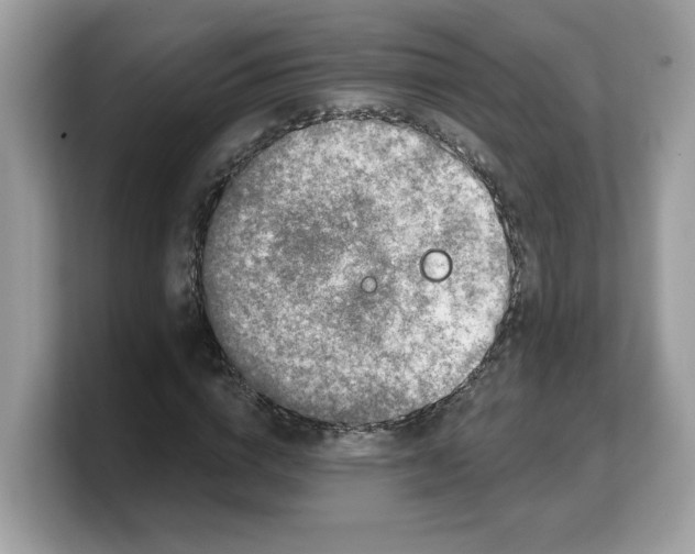 X0000103230824200809181522