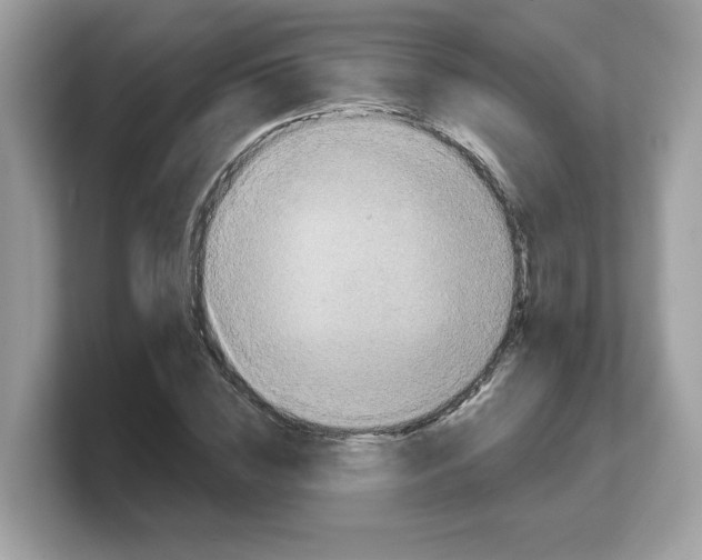 X0000103230828200809181522