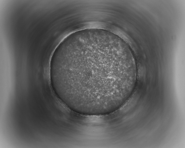 X0000103230836200809181522