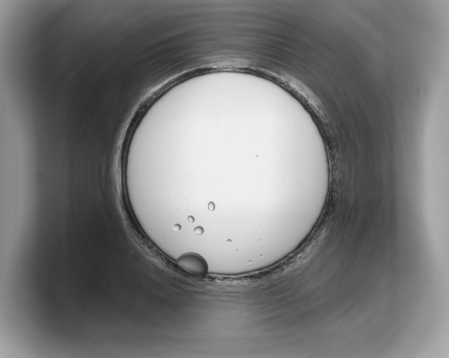 X0000103230840200809181522