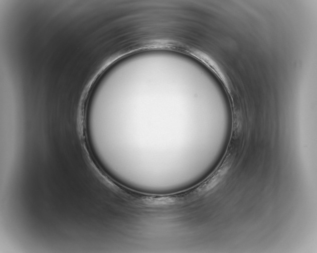 X0000103230851200809181522