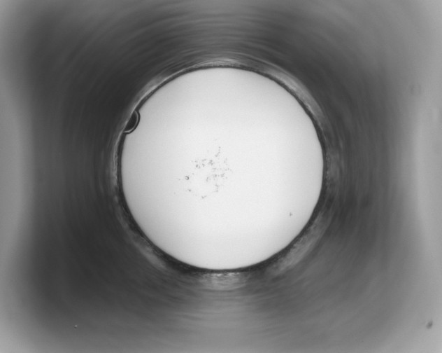 X0000103230858200809181522
