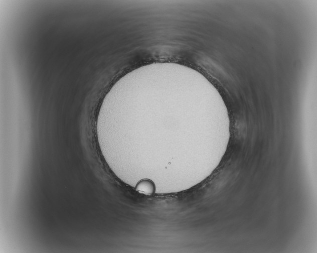 X0000103230865200809181522