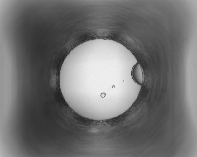 X0000103230866200809181522