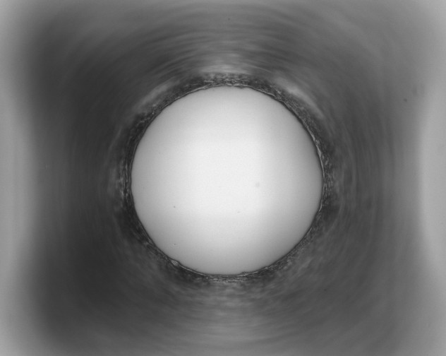 X0000103230870200809181522