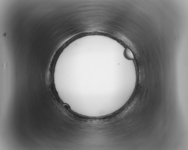 X0000103230876200809181522