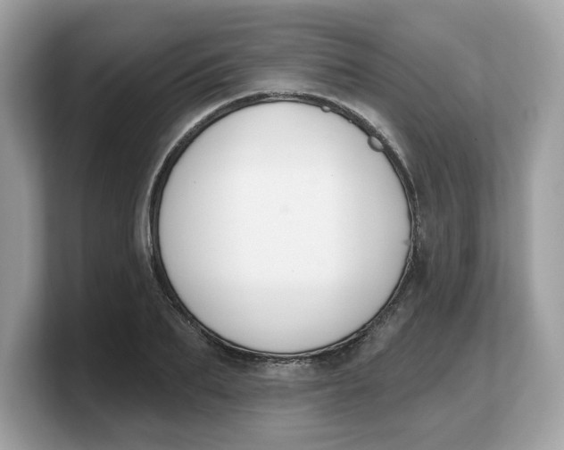 X0000103230887200809181521