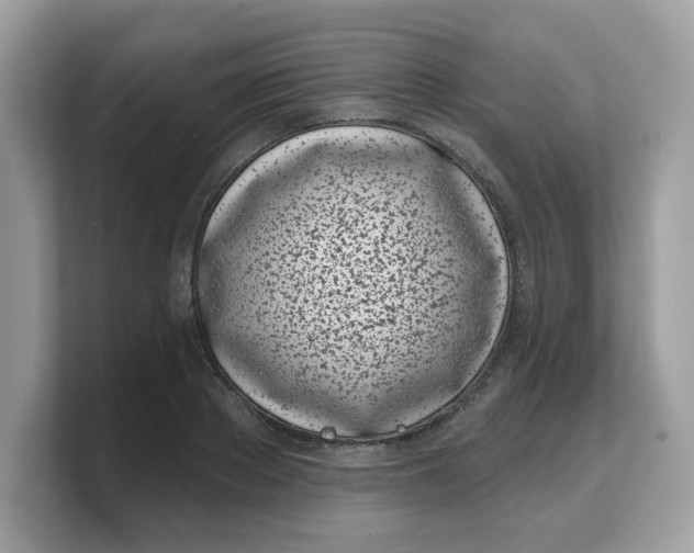 X0000103230889200809181521