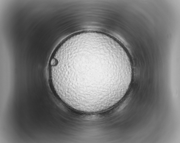 X0000103230891200809181521