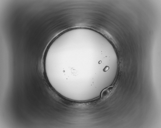 X0000103230892200809181521
