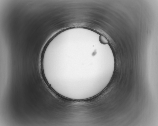 X0000103230894200809181521
