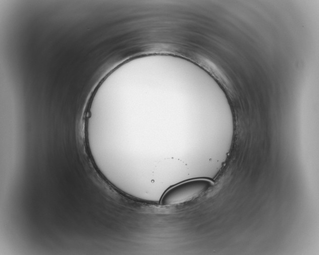 X0000103230900200809181521