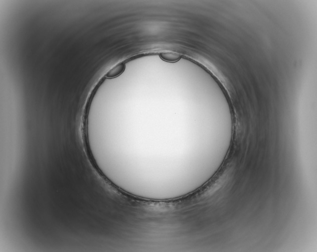 X0000103230901200809181521
