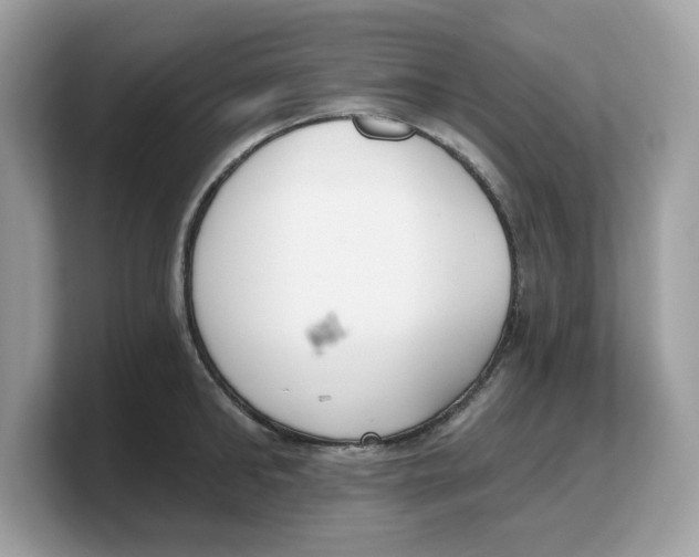 X0000103230902200809181521