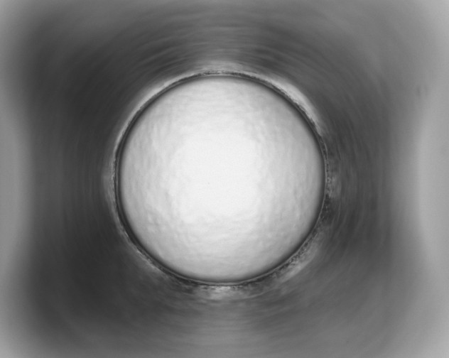 X0000103230903200809181521
